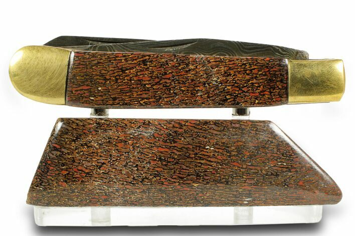 Pocket Knife with Fossil Dinosaur Bone Inlays & Base #370785